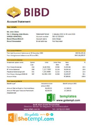 Brunei Bank Islam Brunei Darussalam bank statement template in Word and PDF format