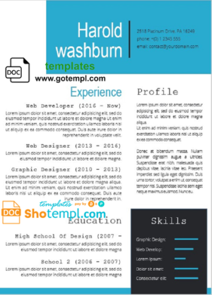 Professional and modern CV template in WORD format.