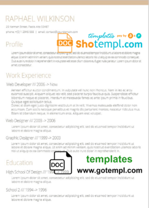 Professional and Modern Resume Template in WORD format