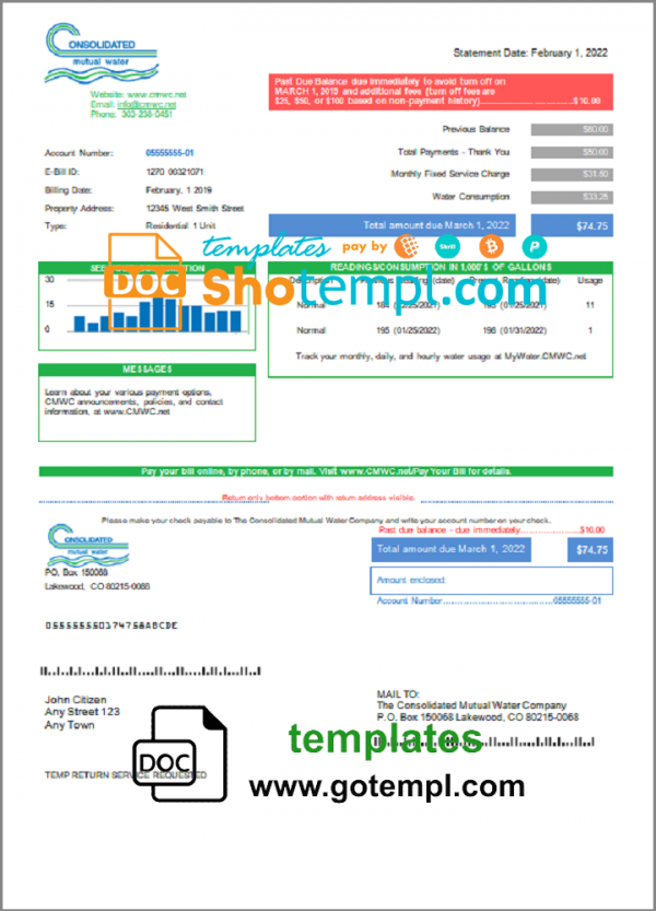 USA Consolidated Mutual Water Utility Bill Template In Word And PDF 