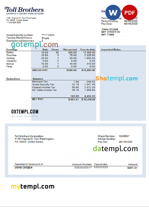 USA building company earning statement template in Word and PDF format