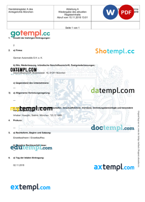 Germany District Court of Munich business registration template in Word and PDF format