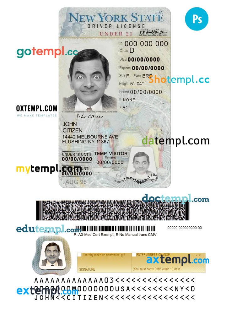 USA New York state vertical driving license editable PSD template, under 21
