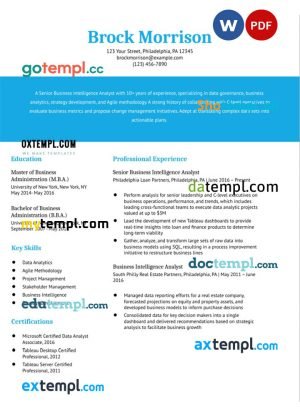 business inteligence analyst resume Word and PDF download template
