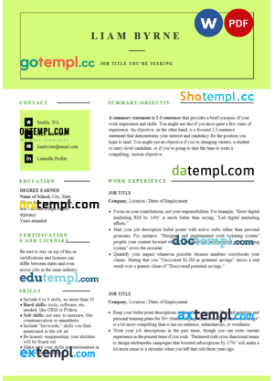 modern limelight resume  Word and PDF  download template